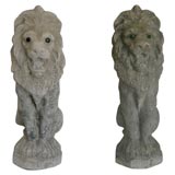 Antique A Pair of Decorative Male Lions.