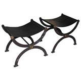 Elegant pair of benches by Lucien Rollin