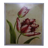 Exotic Dutch Tulip