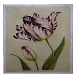 Exotic Tulips