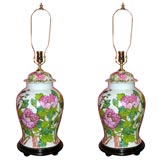 Pair of Antique Temple Jar Lamps with Peony and Bird Decoration