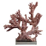 Large Lilac Coral Specimen