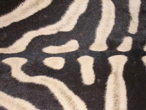 Zebra Ottoman In Excellent Condition For Sale In New York, NY