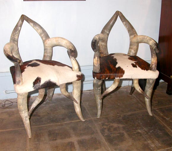Pair of Steer Horn Chairs