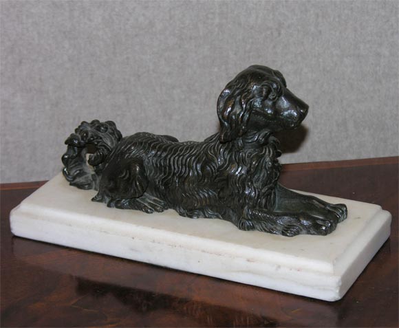 Bronze Spaniel