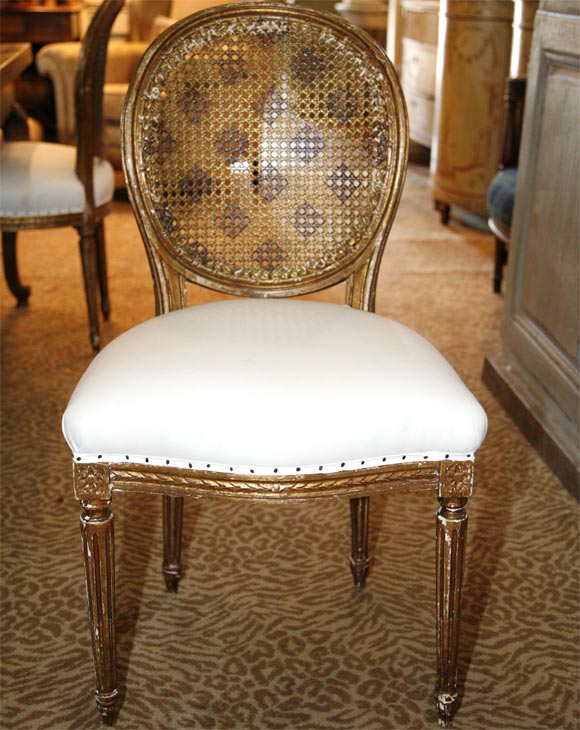 Louis XVI Style Dining Chairs