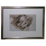 Don Freeman Photograph