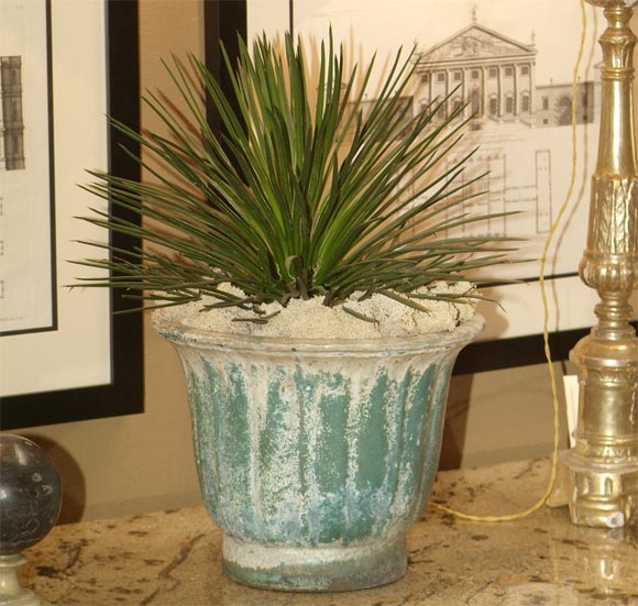 Chinese Hahn Dynasty Green Planter with Agave Plant-