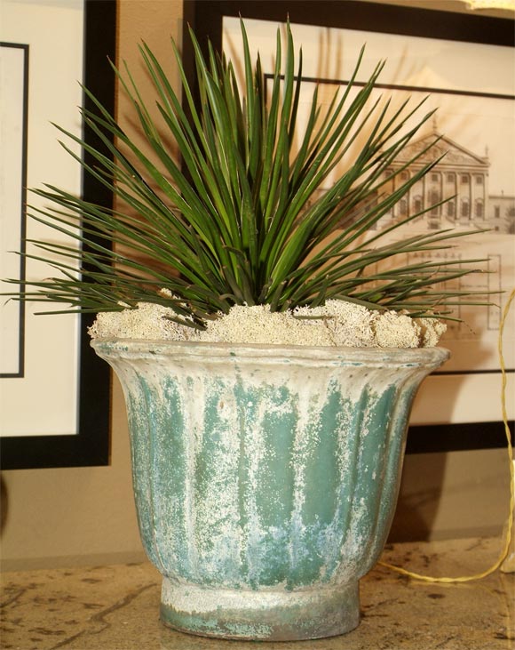 18th Century and Earlier Hahn Dynasty Green Planter with Agave Plant-