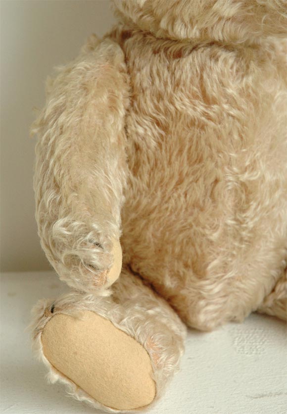 white steiff bear