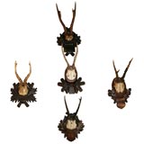 Black Forest Antler Mounts