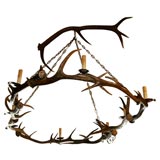 Large Oval Horn Chandelier
