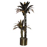 Tall Brass Palm