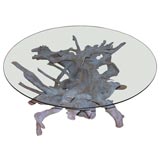 Natural Root Coffee Table