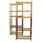 Pair of Chic Lucite Display Shelves