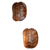 Pair Tortoise Shell Wall Sconces