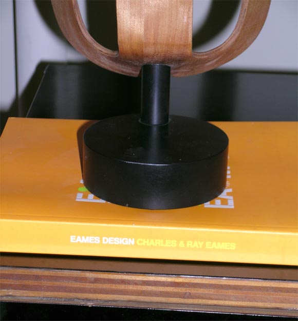 Eames Splint with custom stand 1