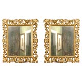 PAIR of Tuscan Baroque Giltwood Mirrors