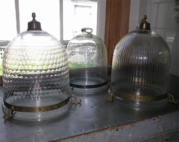 BELL JAR LIGHTS
