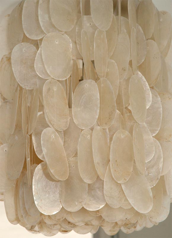 American Capiz Shell Light 