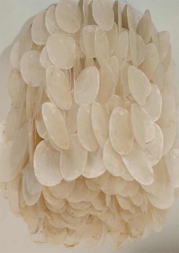 Capiz Shell Light 