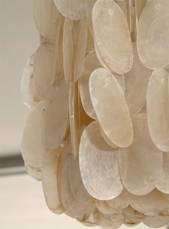 Capiz Shell Light 