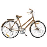 Bamboo Bike