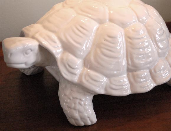 turtle lampshade