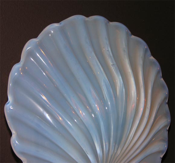 Mid-20th Century Opaline Clam Shell Sconces