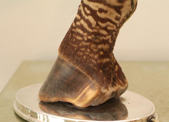 Mid-20th Century Art Deco Zebra Leg Lamp