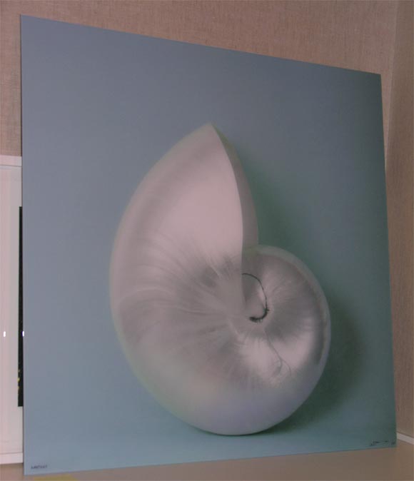 Robert LeBeau, Nautilus, 2003, Chromogenic color photograph mounted to aluminum backing with plexiglass protective glazing, 36 inches square.  Signed,  titled, and editioned by the artist in ink in the lower margin recto.  From a limited edition of