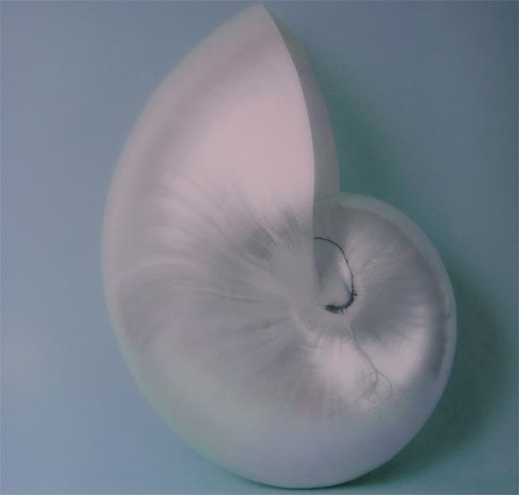 Contemporary Robert LeBeau, 
