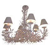 Stunning Six-Light White Coral Chandelier in Metal