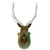 19th century  wood sculpture stag head