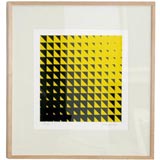Black Triangles by John Morning