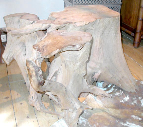 Natural Tree Trunk Table Base
