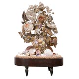 Victorian Decorative Shell Display