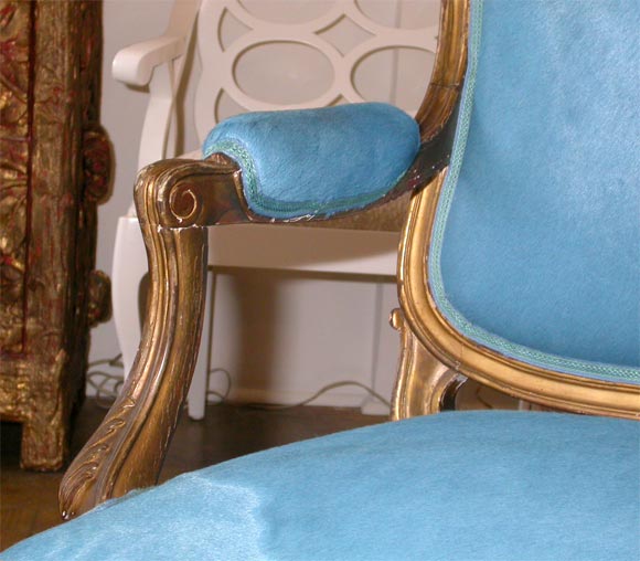 Gilt 19th Century Louis XV  Sofa with Pony Skin