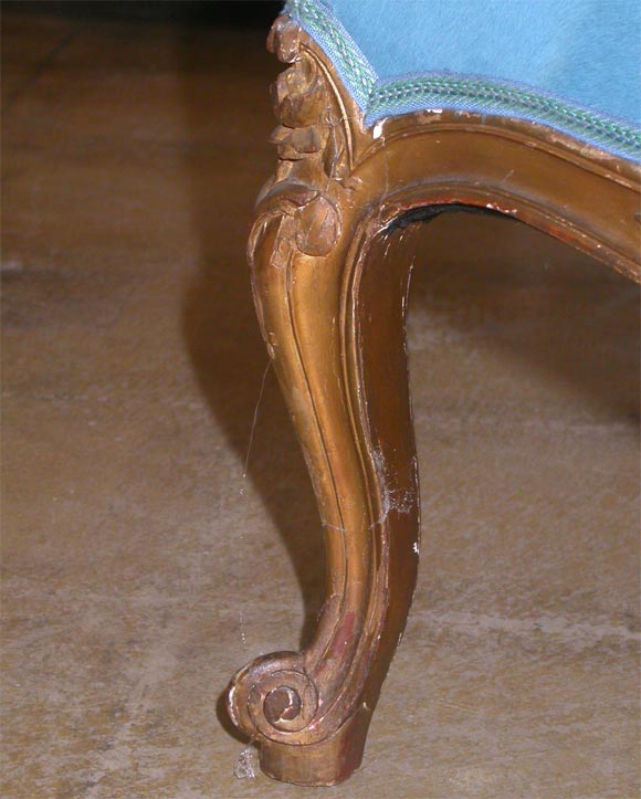 Wood 19th Century Louis XV  Sofa with Pony Skin