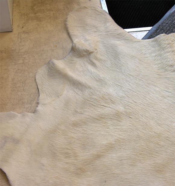 Rug, Cow Hide In Excellent Condition In New York, NY