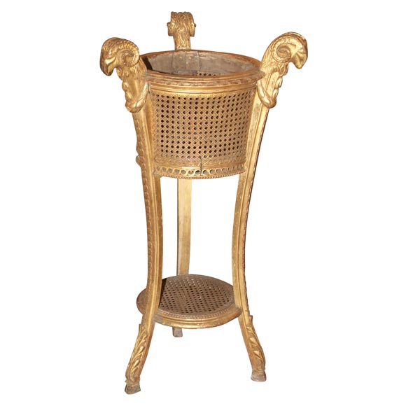Carved Giltwood And Cane Jardiniere For Sale