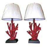 Coral Lamps