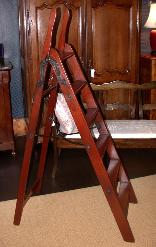 Library Ladder