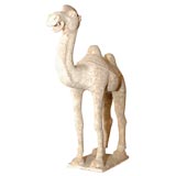 Chinese unglazed pottery figure of Bactrian camel