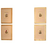 Set of Four Seaweed Prints