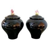 Exceptional Pair Covered Urns in "Black" Murano Glass