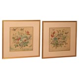 Exceptional  Pair of Watercolour and Gouache on Paper