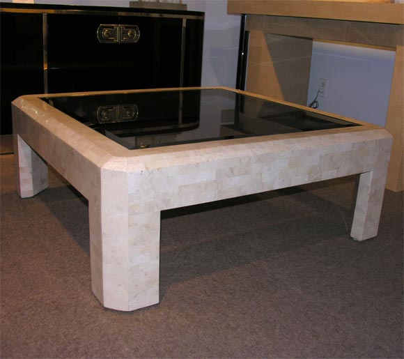 Coffee Table in Fossilized Coral in the Manner of Karl Springer