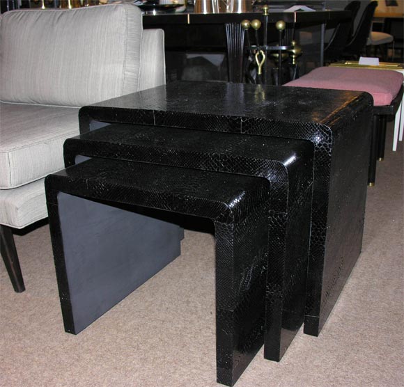 Exceptional Nesting Tables in Python by Karl Springer (SIGNED)