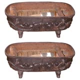 Pair of 19thC. cast iron  lotus design tubs.